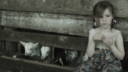 7 Sheep
