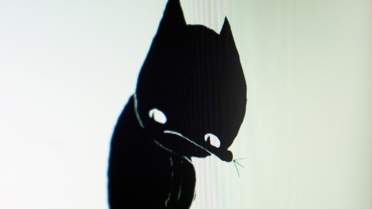 A Cat Called Dom