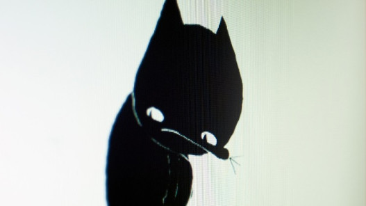 A Cat Called Dom