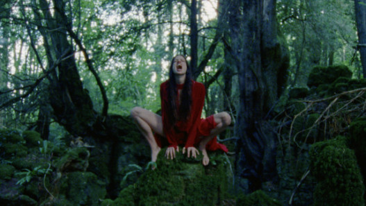 A Screen Test for an Adaptation of Giselle