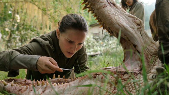 Annihilation