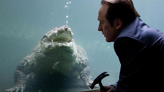 Crocodile