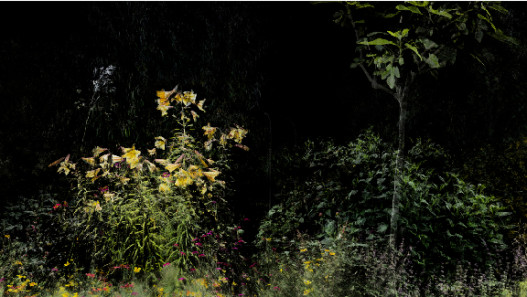 FRAMERATE: Rhythms Around Us