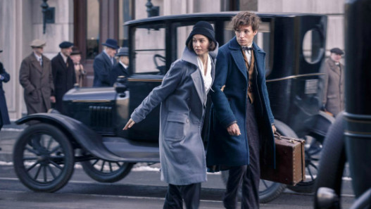 Fantastic Beasts and Where To Find Them