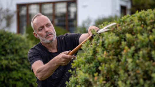 The Gardener, the Buddhist and the Spy