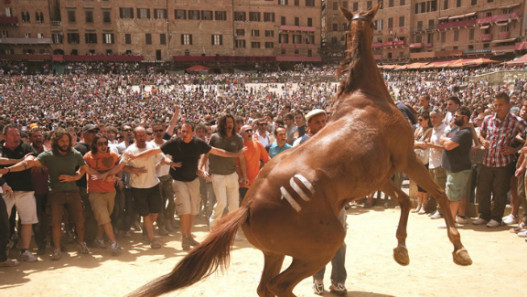 Palio