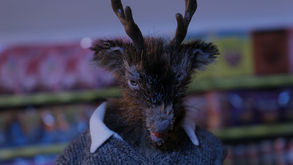 Roadkill