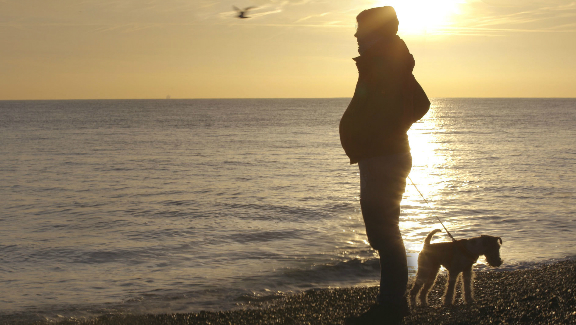 Seahorse: The Dad Who Gave Birth
