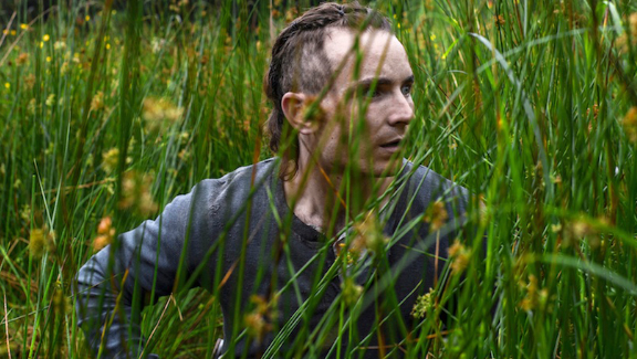 The Survivalist