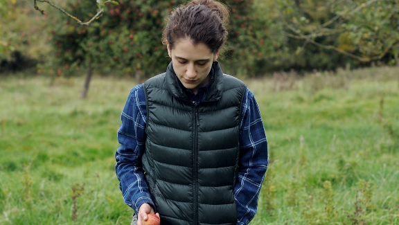 The Levelling