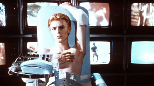 The Man Who Fell to Earth