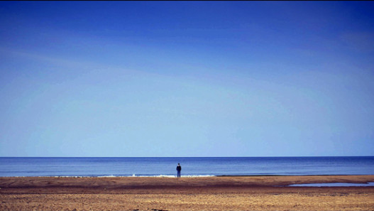 A Practical Guide to a Spectacular Suicide