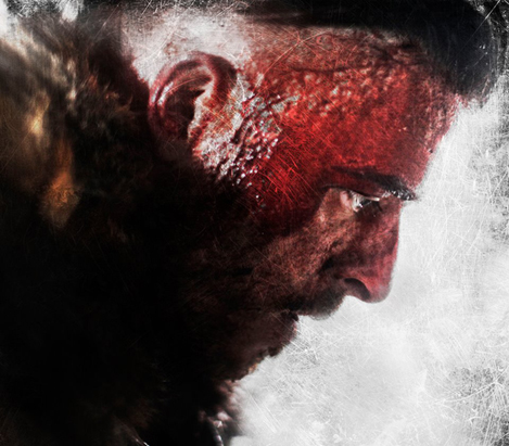 Viking: The Berserkers