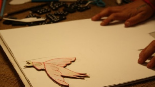 For The Birds