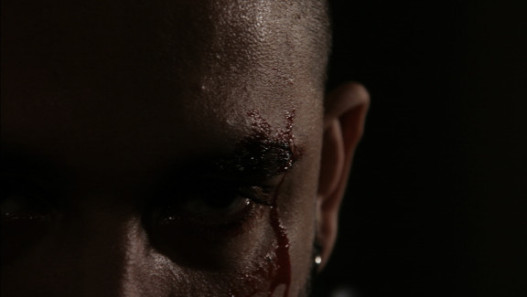 Day Will Fall