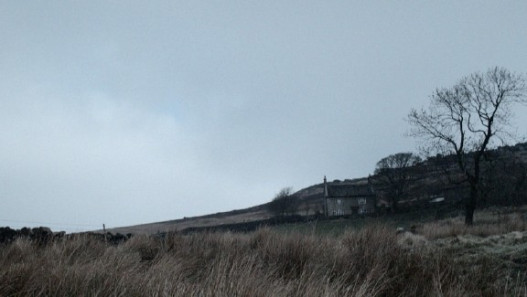 The Cull