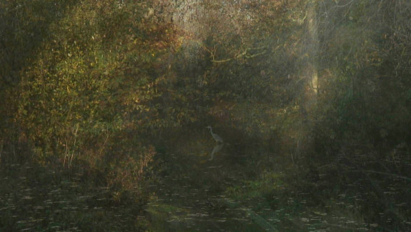 The Secluded Grove