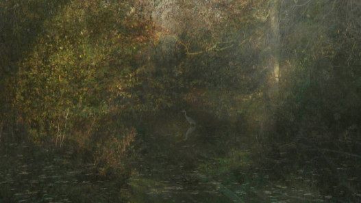 The Secluded Grove