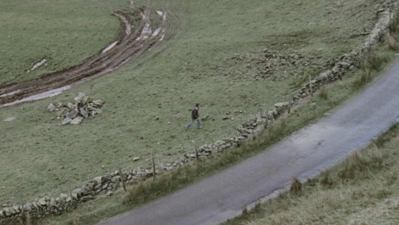 Dry Stone Waller