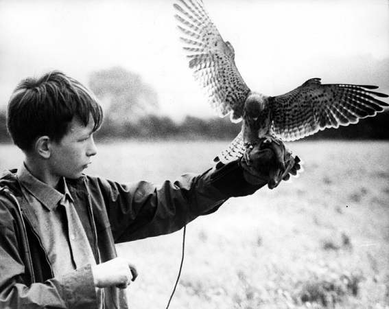 Kes