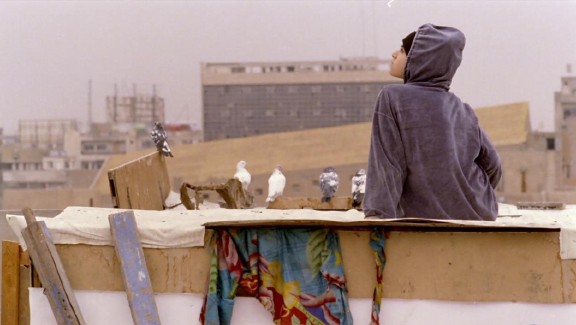 Nesma's Birds