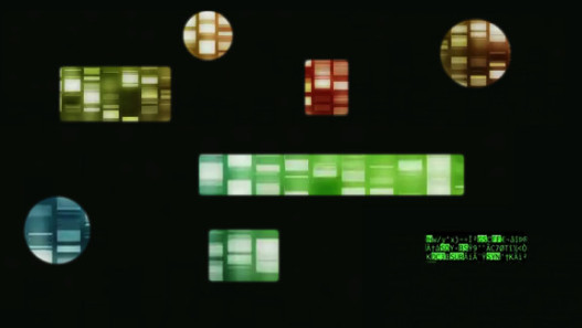 The Signal and The Noise