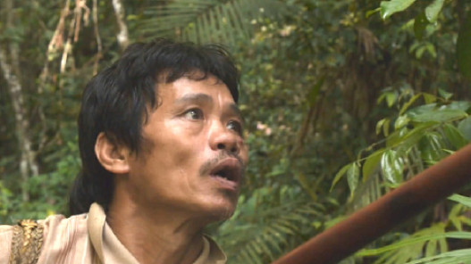 Tawai
