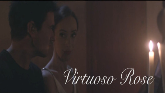 Virtuoso Rose