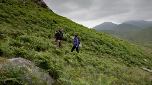The Climb