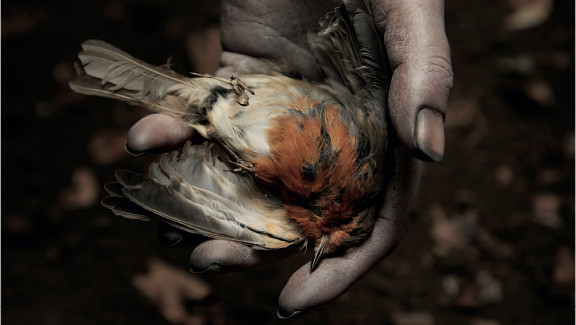 The Deathless Woman