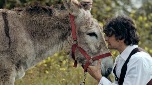 Donkey's Memory