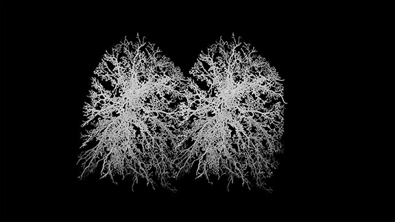 In the Same Breath
