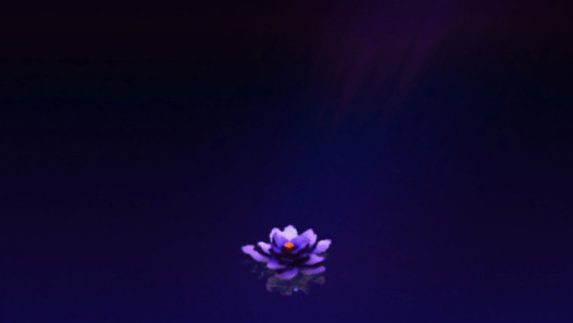 daivaya