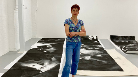 Carol Wyss - In Situ