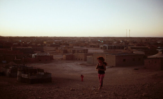 Resistance Sahara