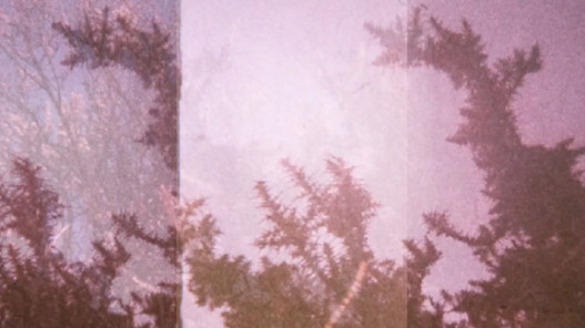 Attic Windows of the Infinite