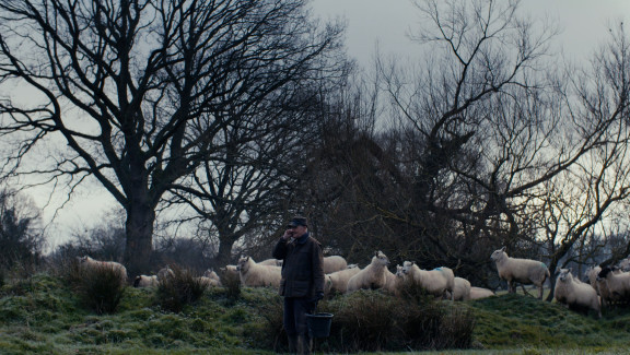 The Old Man and the Land