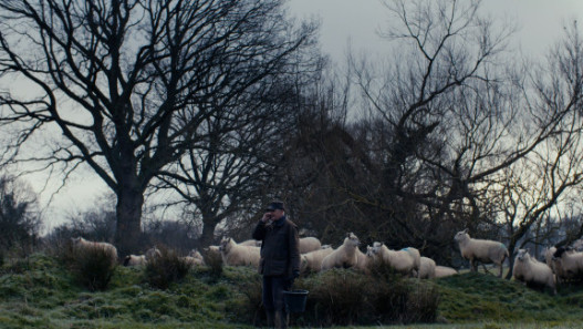 The Old Man and the Land