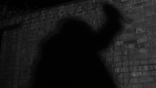 Shadow Puppet