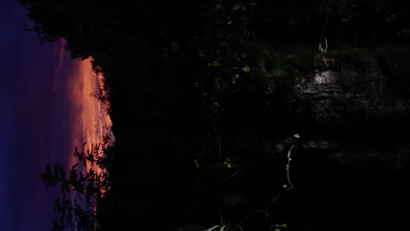 Lost Gardens