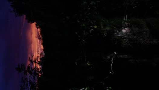 Lost Gardens