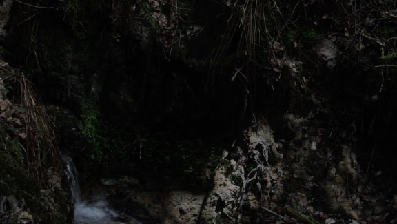 The Toby Tatum Guide to Grottoes and Groves
