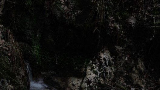 The Toby Tatum Guide to Grottoes and Groves