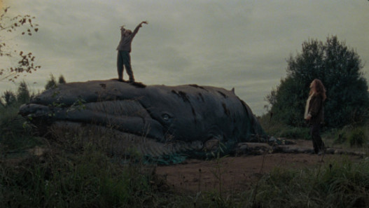 Whale Fall