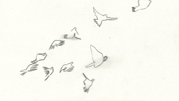 Pigeon Holding