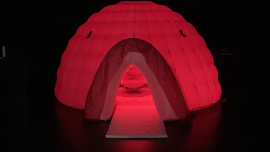 INTER/her: Intimate Journey Inside the Female Body