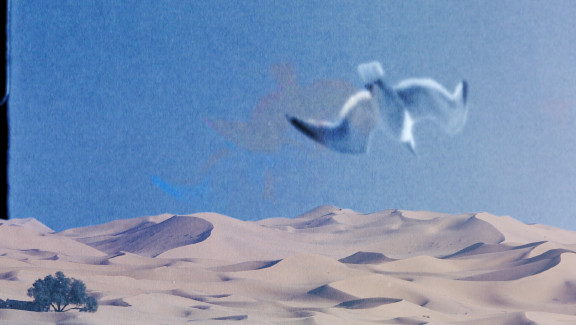 Her Plot of Blue Sky