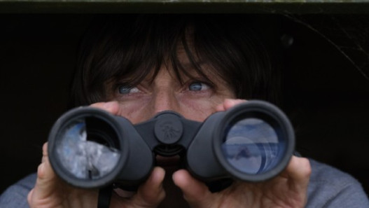 The Birdwatcher