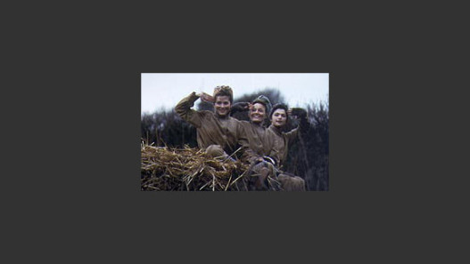 Land Girls