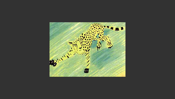 Akbar's Cheetah